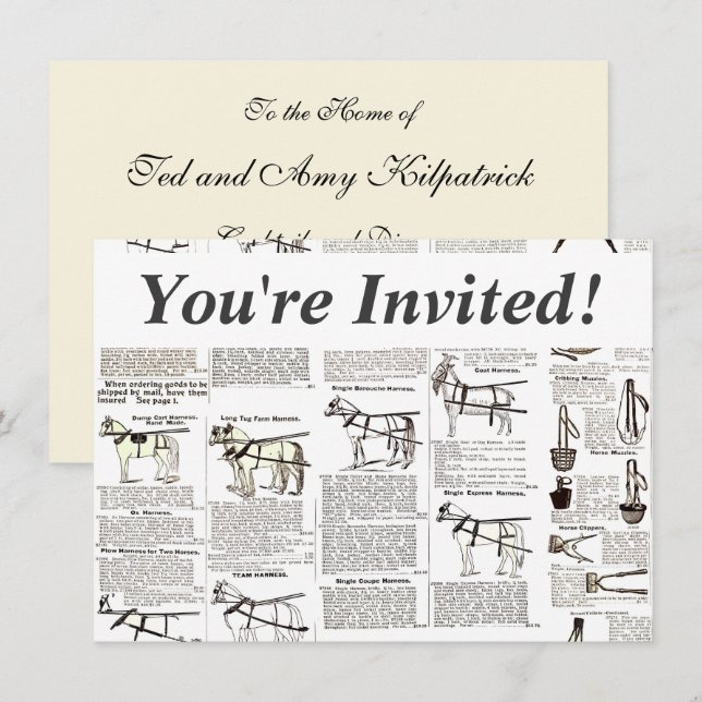 Horse Antique Advertising Newspaper Art Invitation (Front/Back)