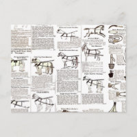 Horse Antique Advertising Newspaper Art