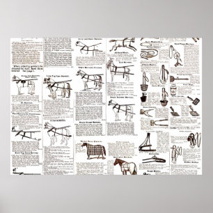 Horse Antique Advertising Newspaper Art Poster