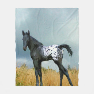 Horse - Appaloosa Colt Fleece Blanket
