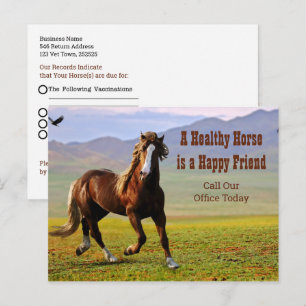 Horse Appointment Reminder for Veterinarian Postca Postcard
