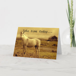 Horse Around Birthday Card