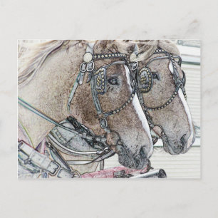 Horse Art 2010 2 Postcard