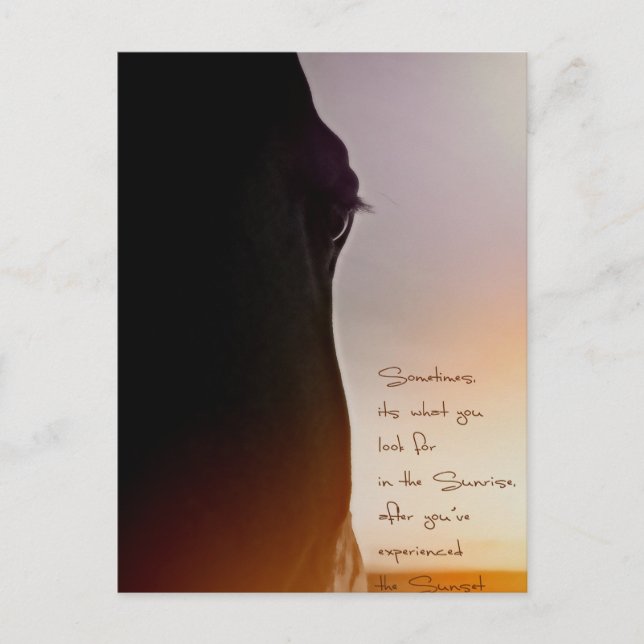 Horse art and inspiring quote postcard (Front)