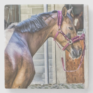 Horse at Barn Stone Coaster