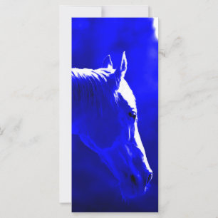 Horse At Night - Horse In Moonlight