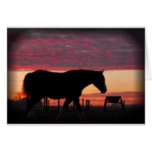 Horse at sunset
