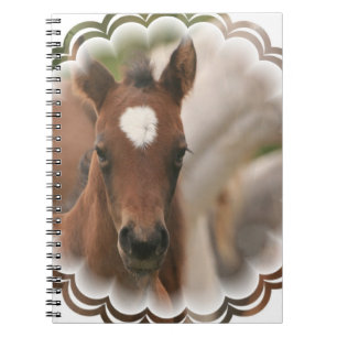 Horse Baby  Notebook