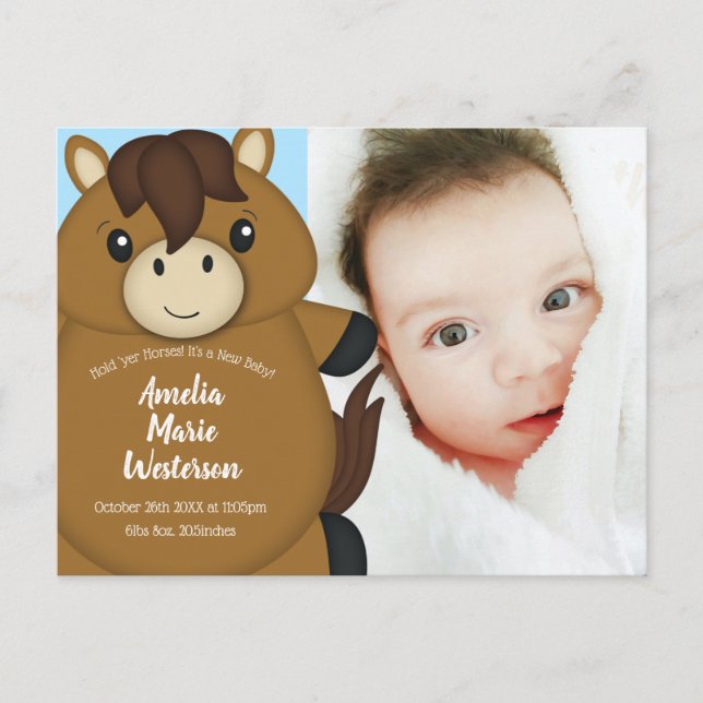 Horse Baby Shower Blue Boy Postcard (Front)