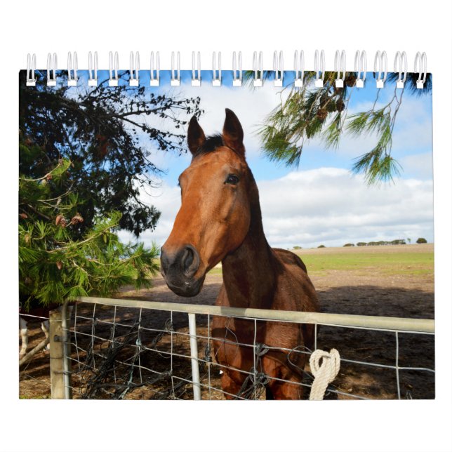 Horse Beauty, Calendar (Cover)