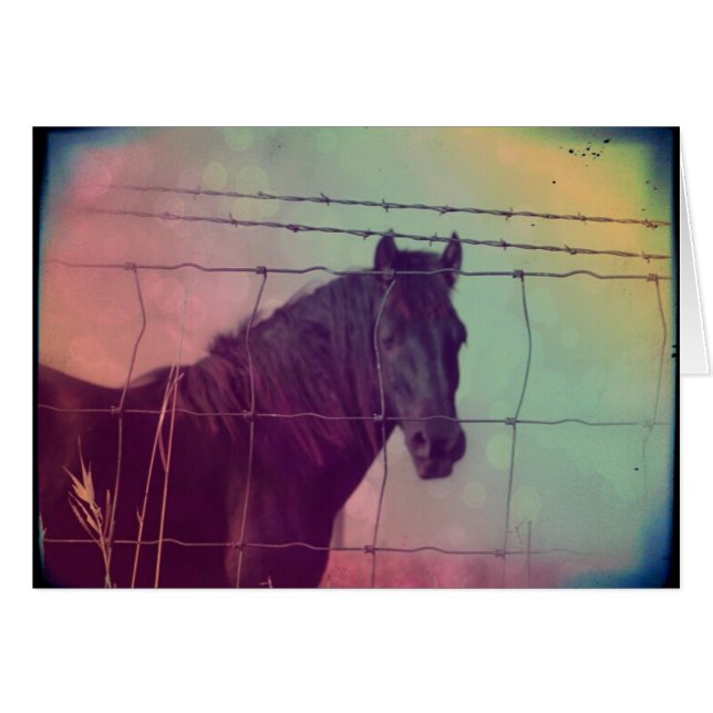Horse Behind the Fence (Front Horizontal)