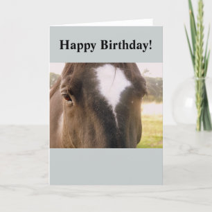 Horse Birthday Card