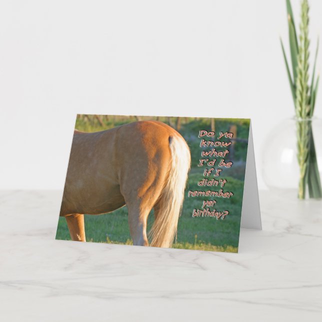 Horse Birthday Card--Funny Men's Card (Front)