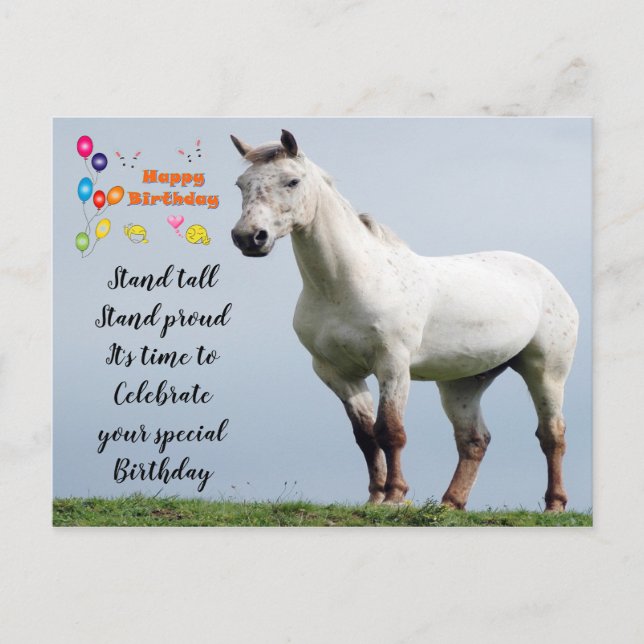 Horse Birthday greetings Postcard (Front)