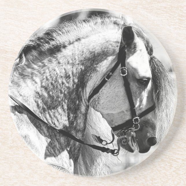 Horse black and white art photograph coaster (Front)