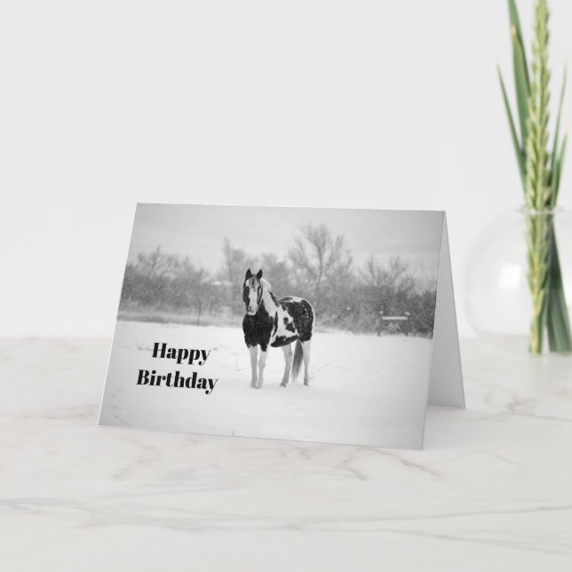 Horse Black and White Snow Photo Birthday Card (Front)