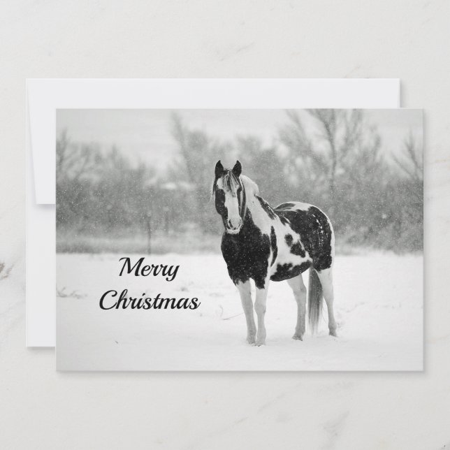Horse Black and White Snow Photo Christmas Flat Holiday Card (Front)