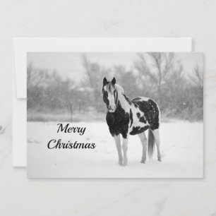Horse Black and White Snow Photo Christmas Flat Holiday Card