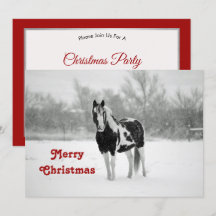 Horse Black and White Snow Photo Christmas