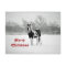 Horse Black and White Snow Photo Christmas
