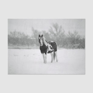 Horse Black and White Snow Photo Tissue Paper