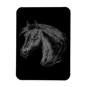 Horse: Black Magnet