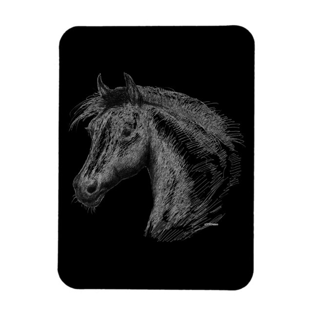 Horse:  Black Magnet (Vertical)