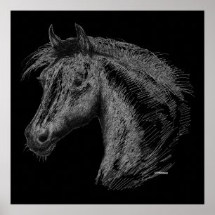 Horse:  Black Poster