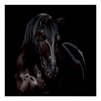 Horse Blackas Midnight Poster