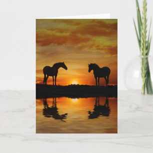 Horse Blank Note Card