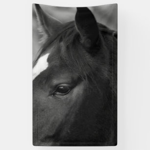 Horse bnrcn banner