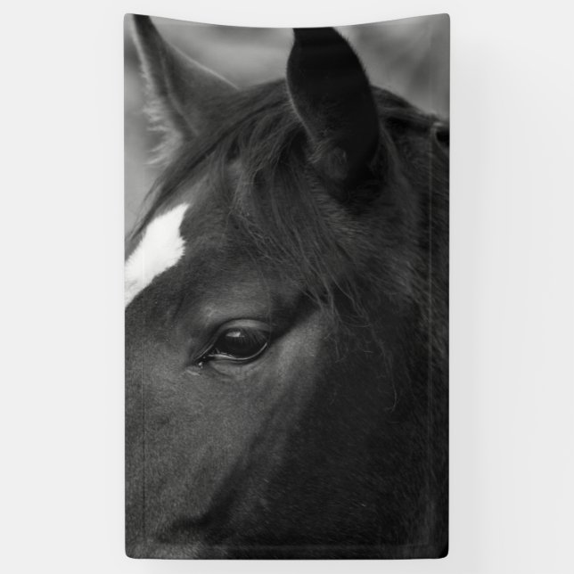 Horse bnrcna banner (Vertical)