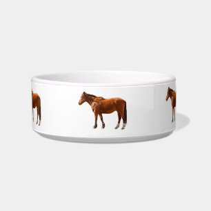 HORSE BOWL