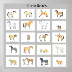 Horse Breeds Cartoon Poster