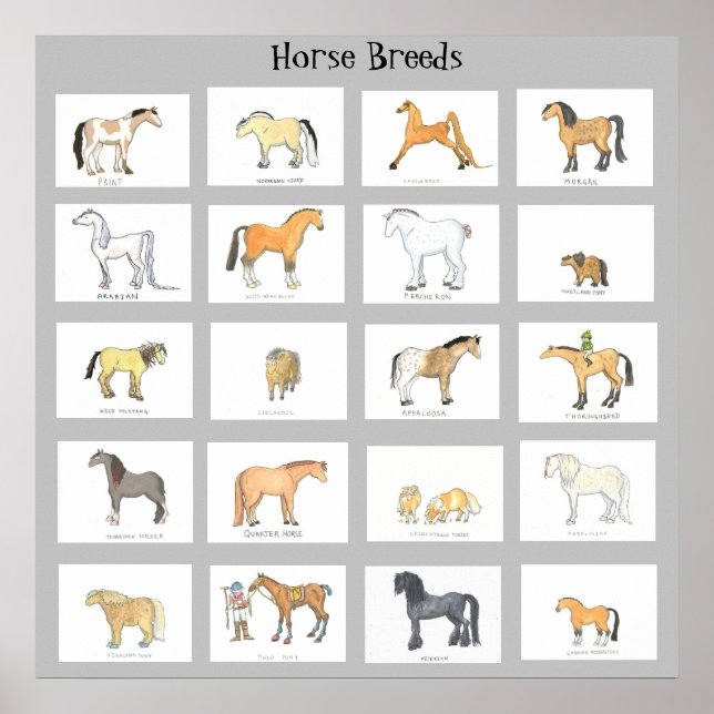 Horse Breeds Cartoon Poster (Front)