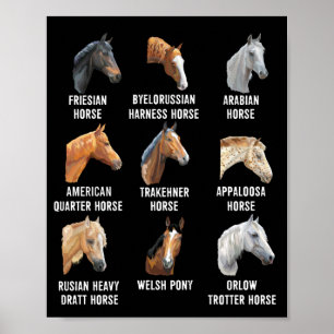 Horse Breeds Equestrian Horseback Riding Poster