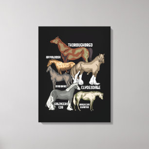 Horse Breeds Horse Riding Gift Women Horses Canvas Print
