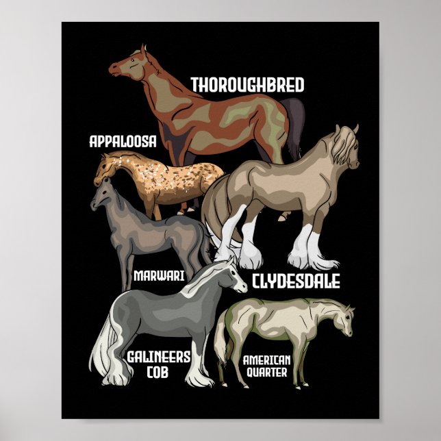 Horse Breeds Horse Riding Gift Women Horses Poster (Front)