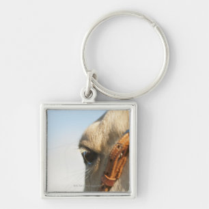 Horse bridle key ring