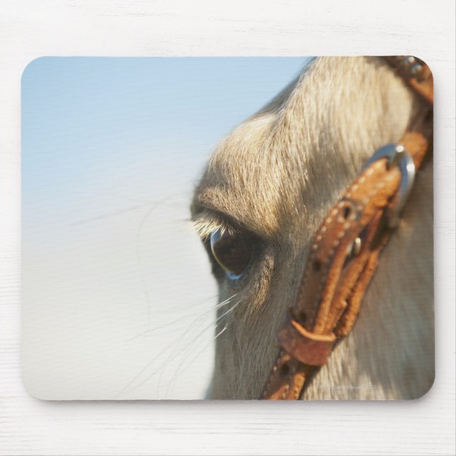 Horse bridle mouse mat (Front)