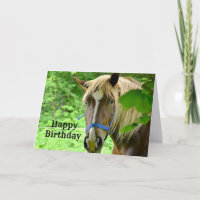 Horse Brown Belgian Draft Photo Birthday