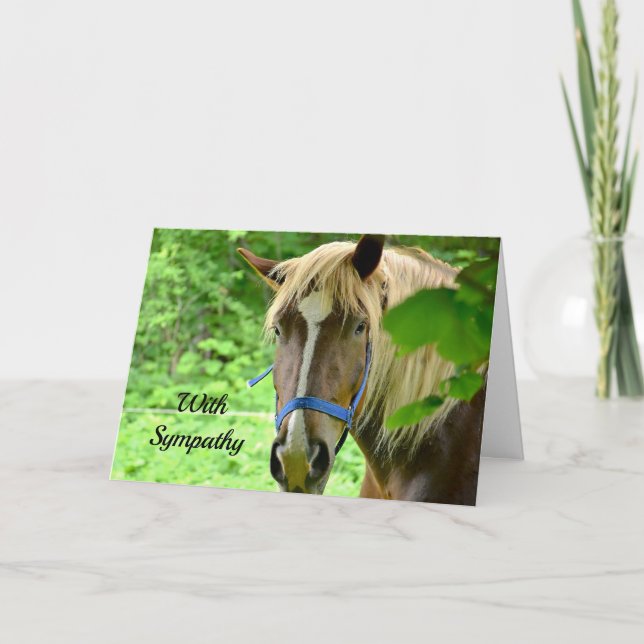 Horse Brown Belgian Draft Photo Sympathy Card (Front)