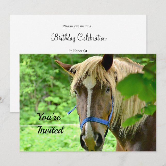 Horse Brown Belgian Draught Photo Birthday Invitation (Front/Back)