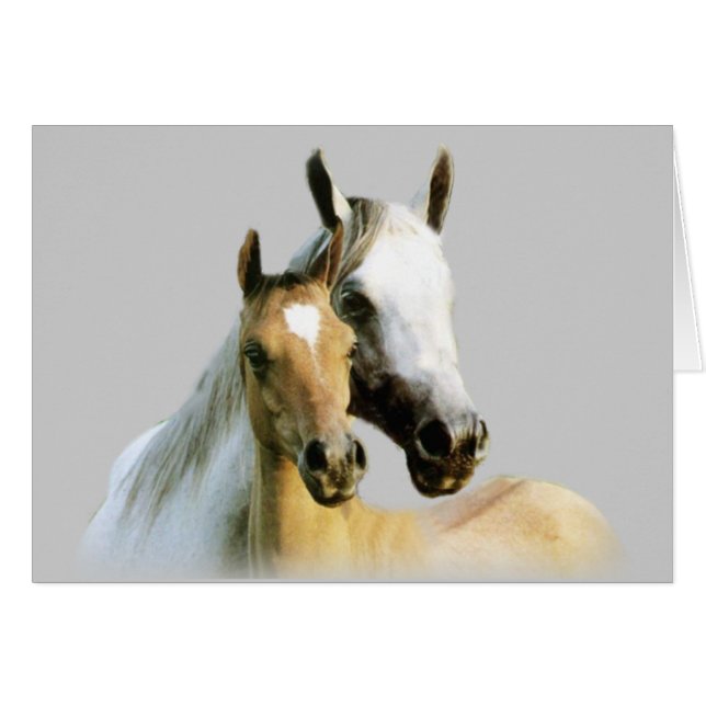 Horse Buddies Card (Front Horizontal)