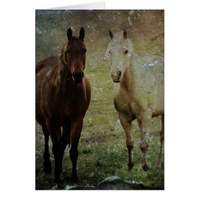 Horse Buddies Grunge (Front)