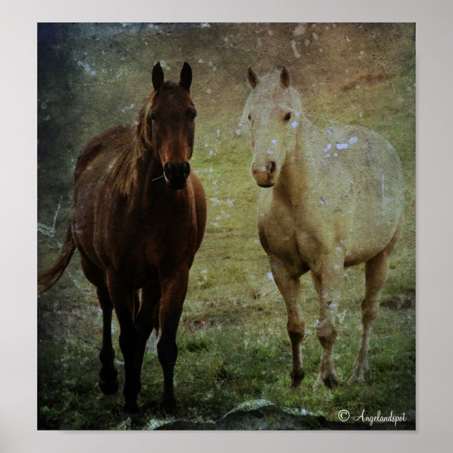 Horse Buddies Grunge Poster (Front)