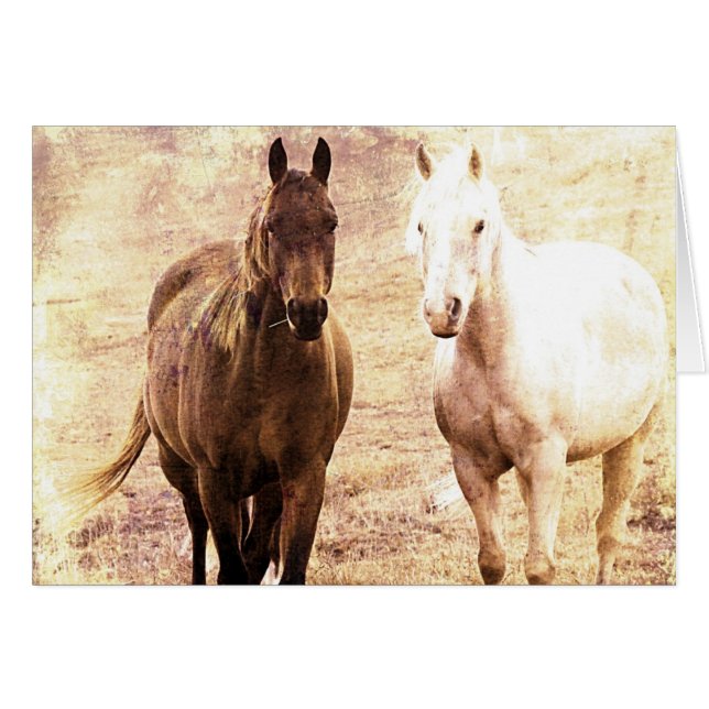 Horse Buddies Sepia (Front Horizontal)