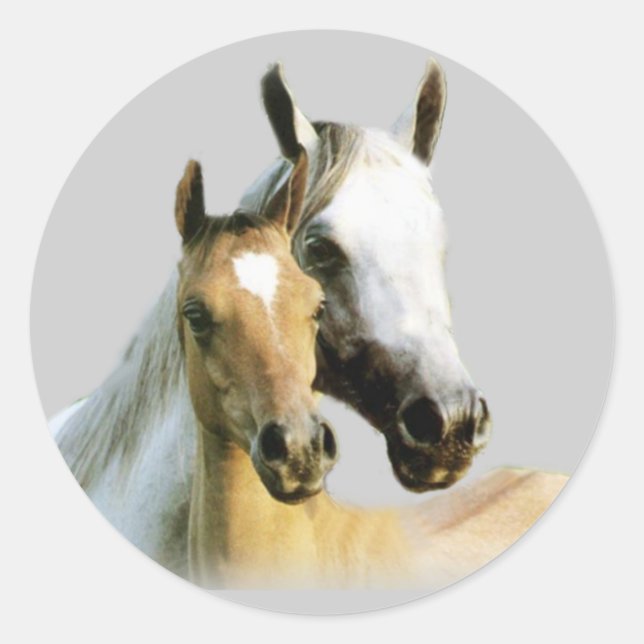Horse Buddies Sticker (Front)