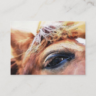 HORSE BUSINESS CARD