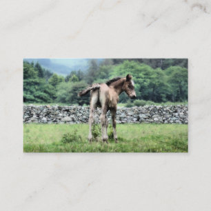 HORSE BUSINESS CARD